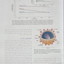 درمان دندانپزشکی فالاس 2024 جلد دوم