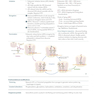 First Aid for the USMLE Step 1 2024 34th Edition