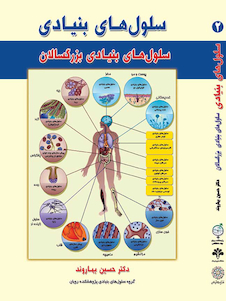 عکس سلول های بنیادی جلد دوم بزرگسالان