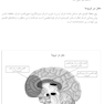 جعبه ابزار تروما
