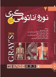 عکس آناتومی گری برای دانشجویان 2024نوروآناتومی