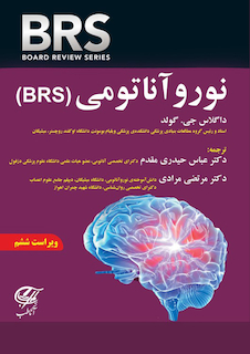 عکس BRS نورو آناتومی