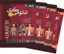 عکس ترجمه کامل چهار جلدی آناتومی گری برای دانشجویان 2024 ( رضا شیرازی)