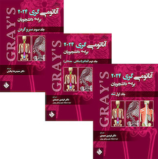عکس ترجمه کامل سه جلدى آناتومی گری برای دانشجویان 2024 (فردین عمیدی)