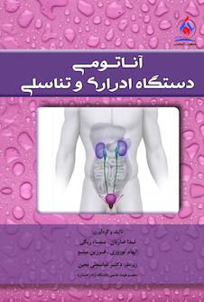 عکس آناتومی دستگاه ادراری و تناسلی