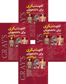 عکس ترجمه کامل چهار جلدی آناتومی گری برای دانشجویان 2024 (مهدی زاده)