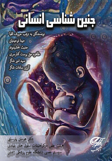 عکس جنین شناسی انسانی