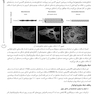 AGK درسنامه سلولی و مولکولی دو جلدی اقدم
