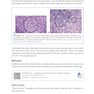 2024-2025 Basic and Clinical Science Course, Section 4: Ophthalmic Pathology and Intraocular Tumors