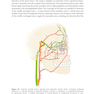 2024-2025 Basic and Clinical Science Course, Section 5: Neuro-Ophthalmology