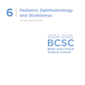 2024-2025 Basic and Clinical Science Course, Section 6: Pediatric Ophthalmology and Strabismus