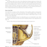 2024-2025 Basic and Clinical Science Course, Section 7: Oculofacial Plastic and Orbital Surgery