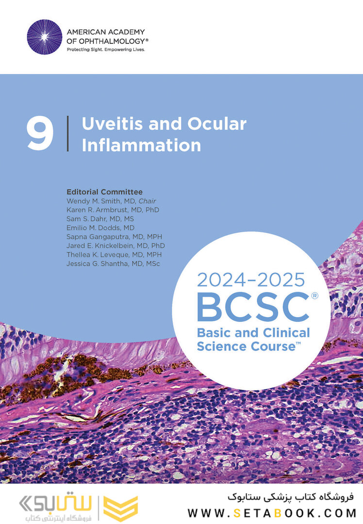 2024-2025 Basic and Clinical Science Course, Section 9: Uveitis and Ocular Inflammation