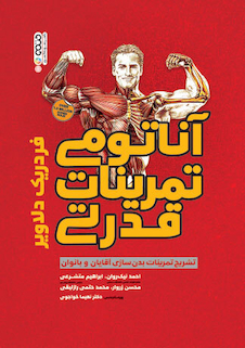 عکس آناتومی تمرینات قدرتی