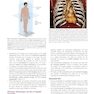 Learning Radiology Recognizing the Basics 5th Edition 2024