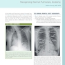 Learning Radiology Recognizing the Basics 5th Edition 2024