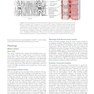 Firestein & Kelley’s Textbook of Rheumatology, 12th Edition 2025