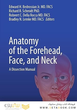 Anatomy of the Forehead, Face, and Neck: A Dissection Manual 2024th Edition