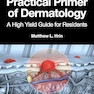 Practical Primer of Dermatology: A High Yield Guide for Residents (Series in Dermatological Treatment) 1st Edition