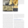 Horizontal and Vertical Bone Augmentation for Dental Implant Therapy