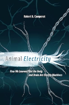 عکس Animal Electricity: How We Learned That the Body and Brain Are Electric Machines Illustrated Edition