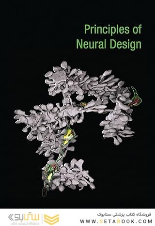 Principles of Neural Design (Mit Press)