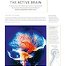 The Brain Fitness Book: Activities and puzzles to keep your mind active and healthy