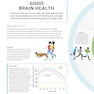 The Brain Fitness Book: Activities and puzzles to keep your mind active and healthy