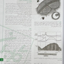 درسنامه سلامت روان زنان در دوران بارداری