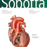 Sobotta Atlas of Anatomy Internal Organs 17th Edition