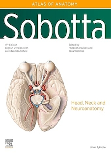 عکس Sobotta Atlas of Anatomy Head Neck and Neuroanatomy 17th Edition