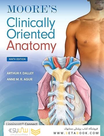 Moore’s Clinically Oriented Anatomy 9th Edition