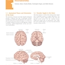 Neuroscience for Neurosurgeons 1st Edition