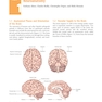 Neuroscience for Neurosurgeons 1st Edition