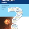 Practical Approach to Glaucoma: Case Based 1st Edition