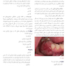 راهنمای کلینیکی بیماریهای دهان 2024