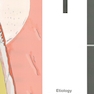 Mucogingival Esthetic Surgery Around Implants 1st Edition