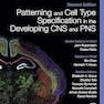 Patterning and Cell Type Specification in the Developing CNS and PNS,2nd Edition