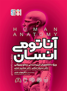 عکس آناتومی انسان ویژه دانشجویان تربیت بدنی و علوم ورزشی تألیف دکتر جمشید همتی
