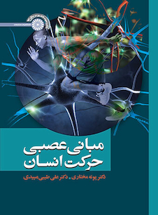 عکس مبانی عصبی حرکت انسان