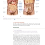 Loose Leaf for Anatomy, Physiology, & Disease: Foundations for the Health Professions 3rd Edition