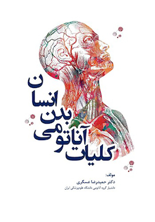 عکس کلیات آناتومی بدن انسان