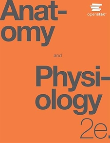 عکس Anatomy and Physiology 2e by OpenStax (Official Print Version, hardcover, full color) Second Edition