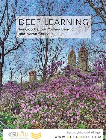 Deep Learning (Adaptive Computation and Machine Learning series)