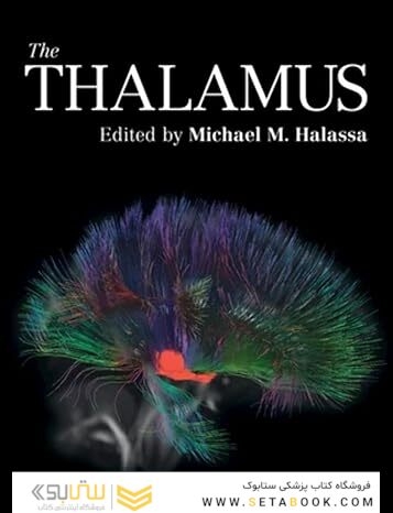 The Thalamus