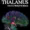 The Thalamus