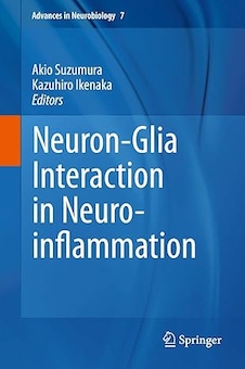عکس Neuron-Glia Interaction in Neuroinflammation (Advances in Neurobiology, 7) 2013th Edition