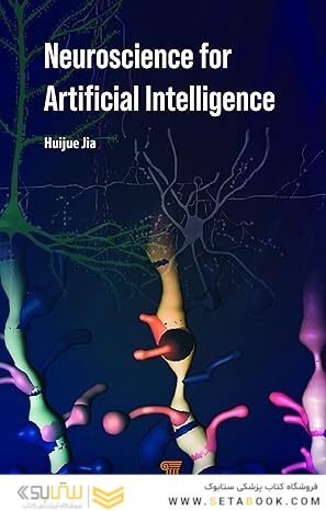 Neuroscience for Artificial Intelligence 1st Edition