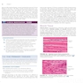Human Physiology 16th Edition