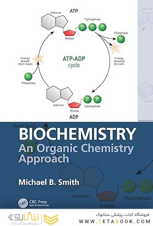 Biochemistry: An Organic Chemistry Approach 1st Edition